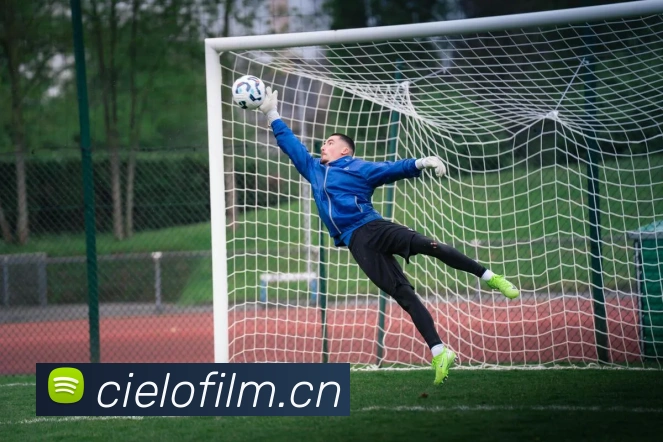 九游j9官方官网服务体系